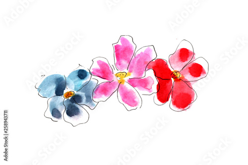 illustration of watercolor flowers