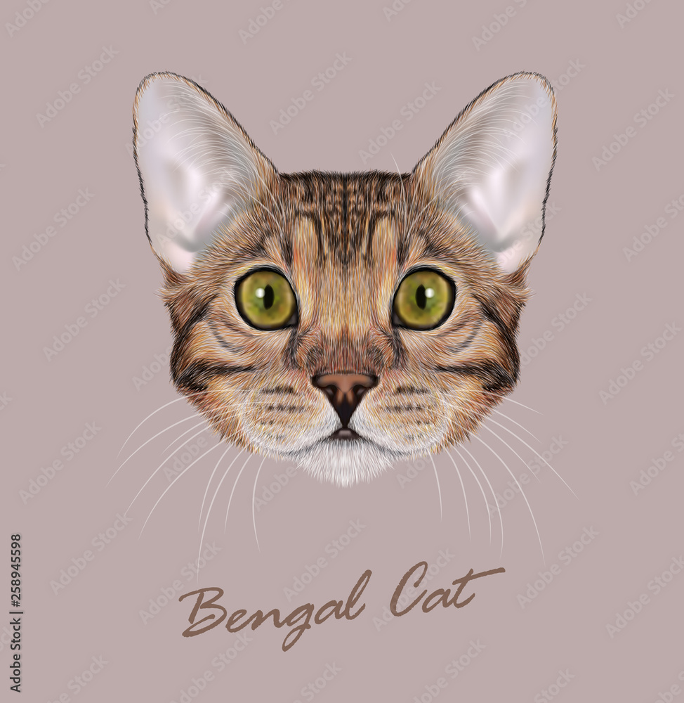 Bengal cat animal cute face. Vector young brown tabby purebred American Bengal kitten orange head portrait. Realistic fur portrait of green eyes kitty isolated on beige background. Stock Vector | Adobe Stock Bengal cat animal cute face. Vector young brown tabby purebred American Bengal kitten orange head portrait. Realistic fur portrait of green eyes kitty isolated on beige background. Stock Vector | Adobe Stock