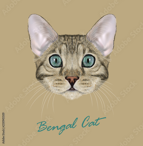 Bengal cat animal cute face. Vector young silver gray tabby purebred American Bengal kitten head portrait. Realistic fur portrait of blue eyes kitty isolated on beige background. © ant_art19