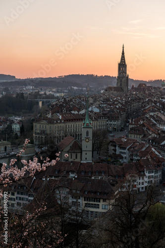 Sonnenuntergang während Kirschblüte in Bern mit Berner Münster und Altstadt