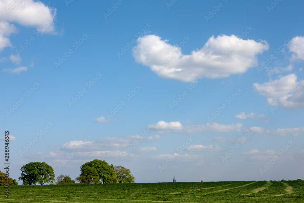 Meadows Steenwijk Overijssel Netherlands. Making hay Meadows Steenwijk Overijssel Netherlands. Making hay