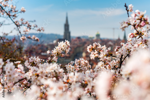 Frühlingsmorgen in Bern mit Berner Münster und Altstadt