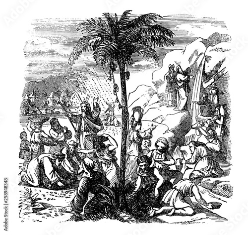 Vintage antique illustration and line drawing or engraving of biblical story of miracles of manna and water found in desert or wilderness.From Biblische Geschichte des alten und neuen Testaments