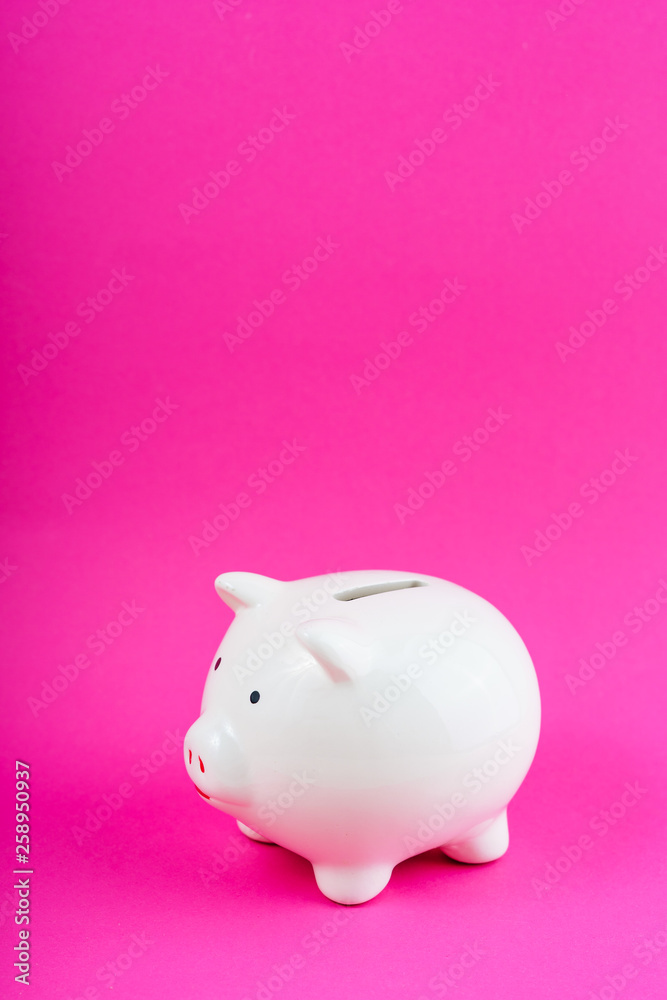 White Money Save Pig on Pink Background Copy Space