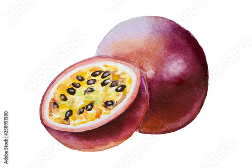 Obraz na plátně Hand drawn watercolor painting on white background