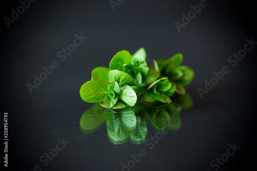 bunch of fresh green mint on black background