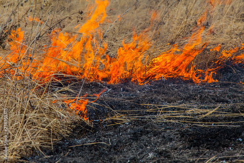 Fire in the steppe. The fire spreads quickly due to strong winds, burning everything in its path.