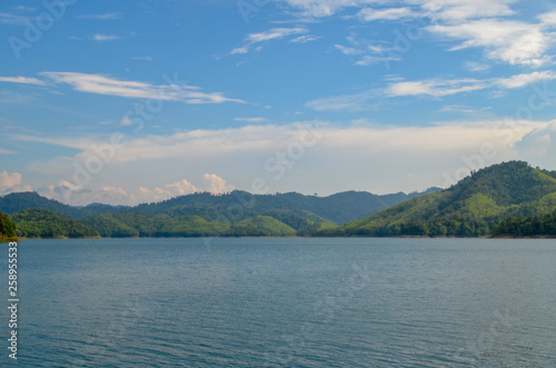 Wallpaper Mural Natural forest floor Halabala National Park in southern Thailand Torontodigital.ca