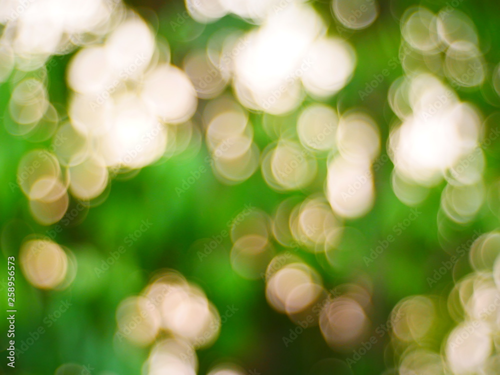 Fototapeta premium abstract green background with bokeh