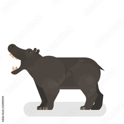 Behemoth or hippopotamus from africa. Wild hippo