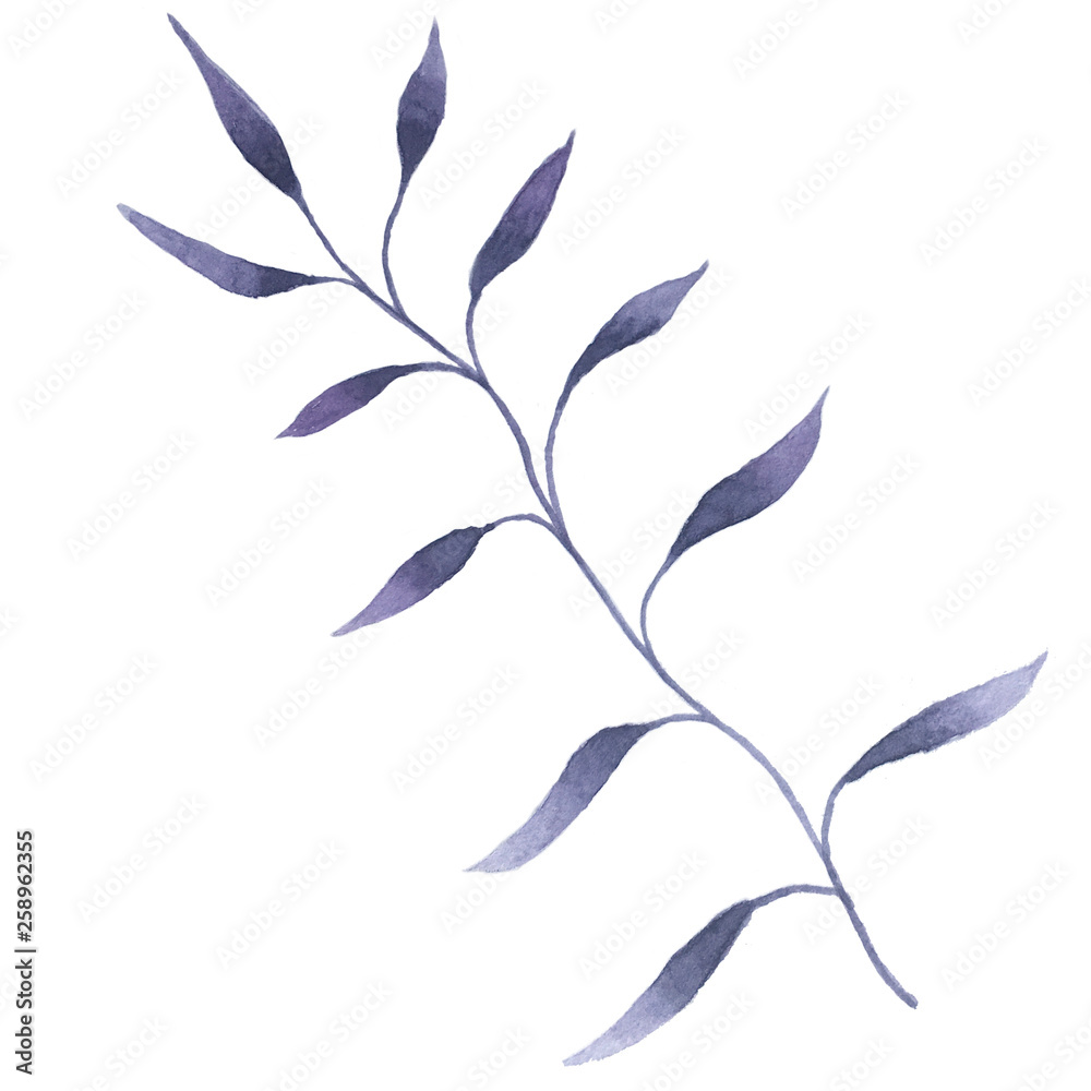 hand drawn watercolor purple twig hand drawn watercolor purple twig