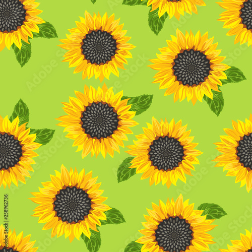 Seamless pattern of yellow sunflowers on a green background. Vector illustration in a flat style. Floral background.