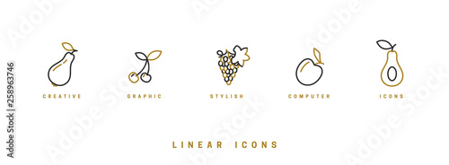 Fruit icons set in linear style. Vector illustration