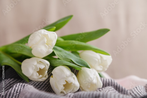 Still-life with white tulips on a gray-pink woolen blanket  on a beige blurred background in the spring morning light
