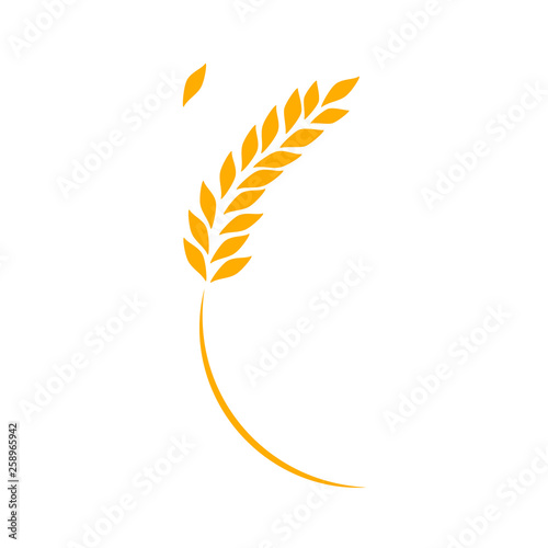 Agriculture wheat Logo