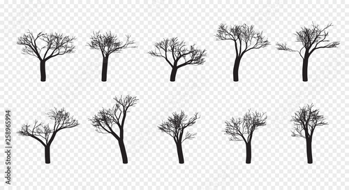 Naked Trees Silhouettes Set. Hand Drawn Isolated. Autumn. Spring. Fall. Vector