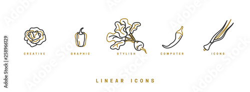 Icons vegetables in linear style. set icon cabbage lettuce, pepper, onion vector graphics