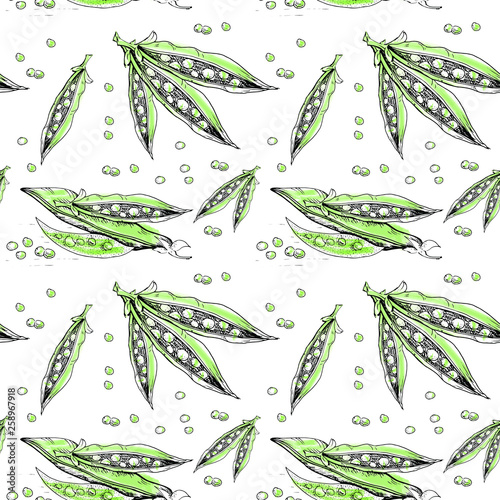 Peas, sketch pattern. Seamless pattern, hand drawn green pea pods. Vector pattern on a transparent background.