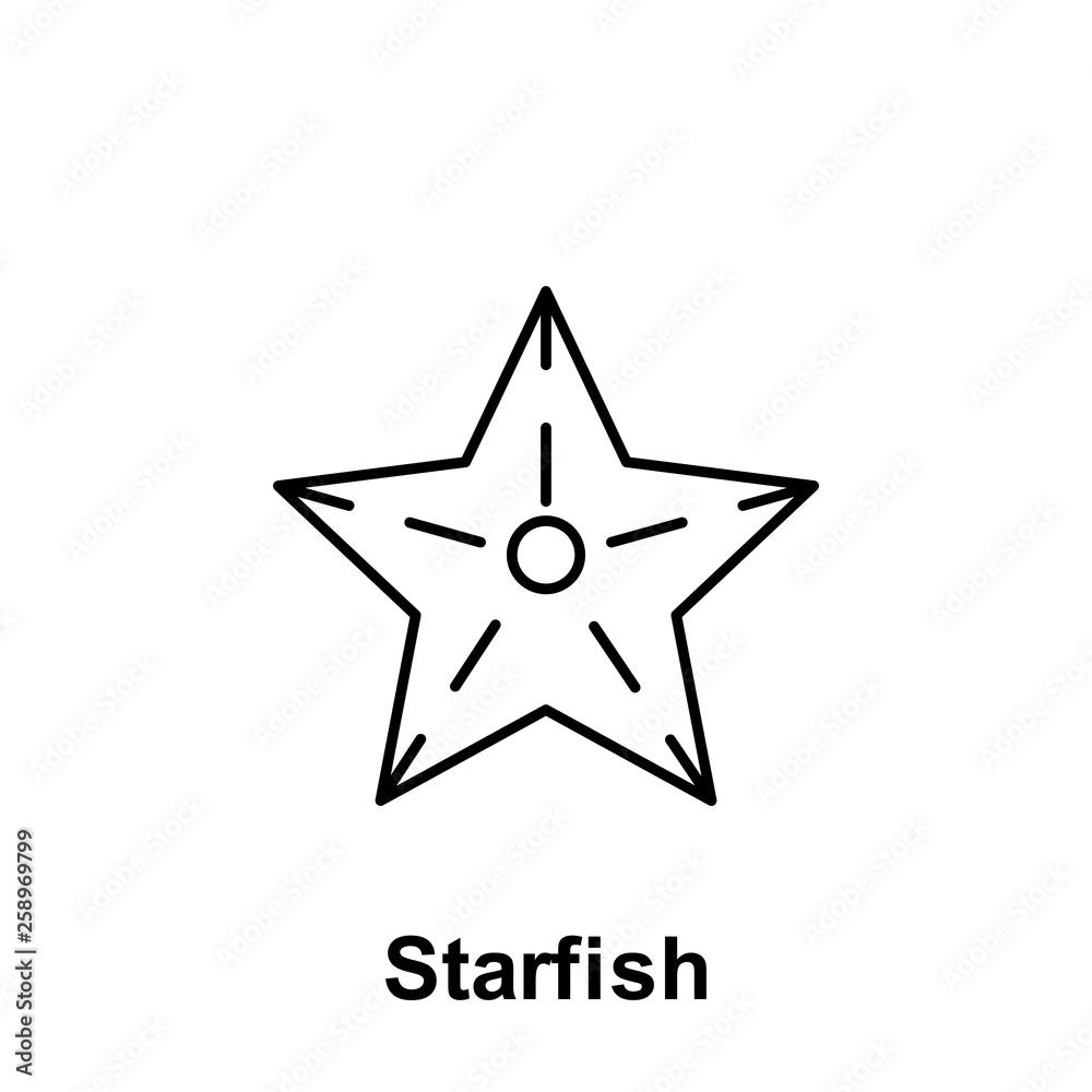 Fototapeta premium Starfish icon. Element of summer holiday icon. Thin line icon for website design and development, app development. Premium icon
