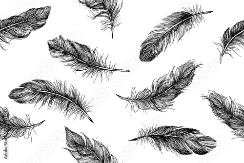 Feather Pattern hand drawn