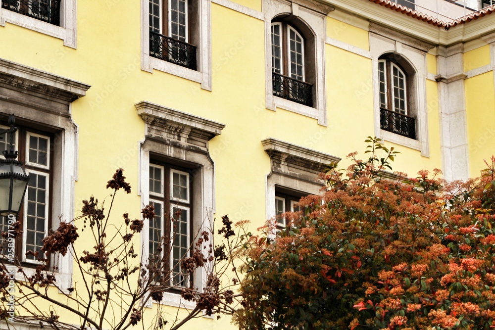 Fototapeta premium Narrow and colorful streets, facades and balconies of Lisbon