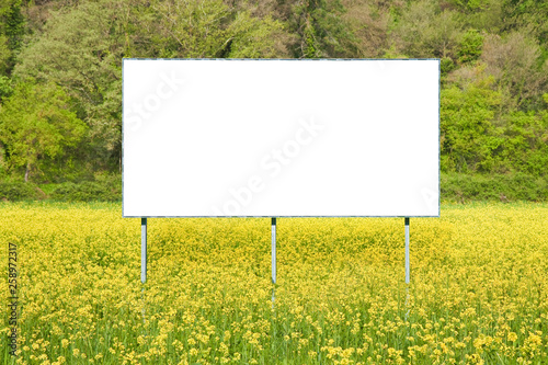 Blank commercial advertising billboard immersed in a rural scene against a yellow flowery field - image with copy space