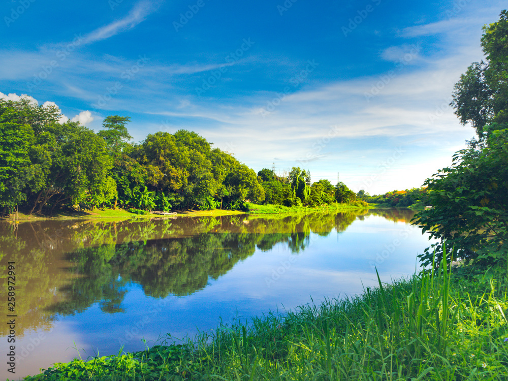 River and tree. Detail is forest beside the river on the day of blue sky. River and tree. Detail is forest beside the river on the day of blue sky.