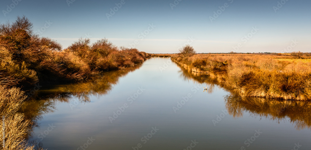 zen landscape