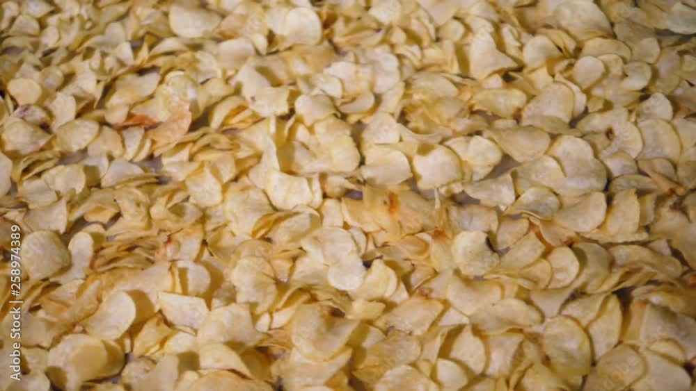 Production factory line moves golden potato chips after frying, slow motion. Production factory line moves golden potato chips after frying, slow motion.