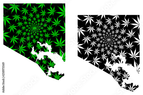 Baltimore city (United States of America, USA, U.S., US, United States cities, usa city)- map is designed cannabis leaf green, City of Baltimore map made of marijuana (marihuana,THC) foliage,