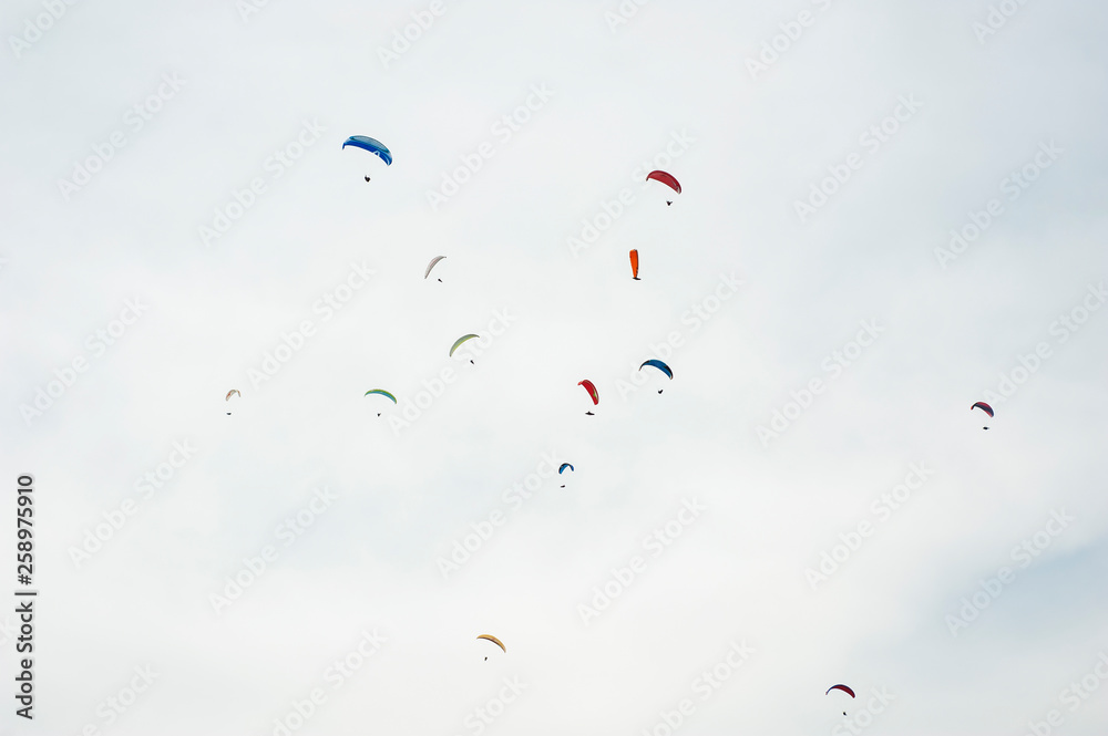 Group of paraglider flying in the blue sky against the background of clouds. Paragliding in the sky on a sunny day. Group of paraglider flying in the blue sky against the background of clouds. Paragliding in the sky on a sunny day.