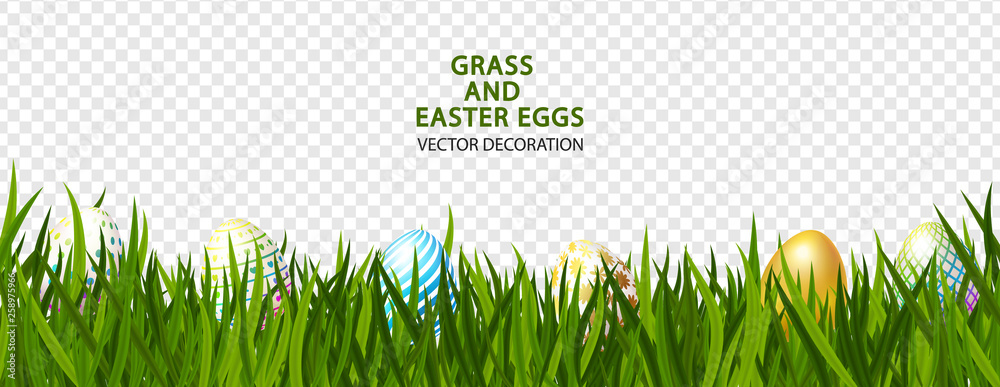 Green grass with Easter eggs on transparent background.Vector illustration
