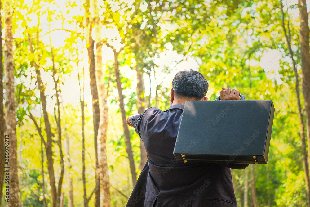 Businessmen are investing in forests ahead. Businessmen are investing in forests ahead.