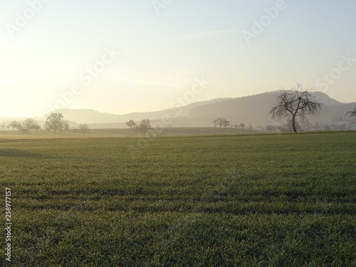 Alb Landschaft im Morgennebel