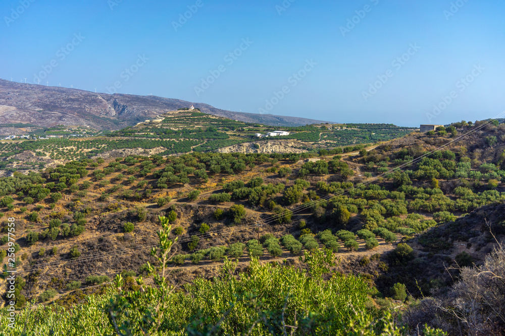 ?retan Landscape with lots of olive trees over the rolling hills, Crete, Greece and churches on top of the hills