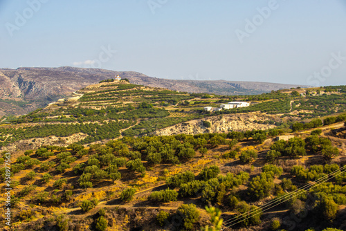 ?retan Landscape with lots of olive trees over the rolling hills, Crete, Greece and churches on top of the hills