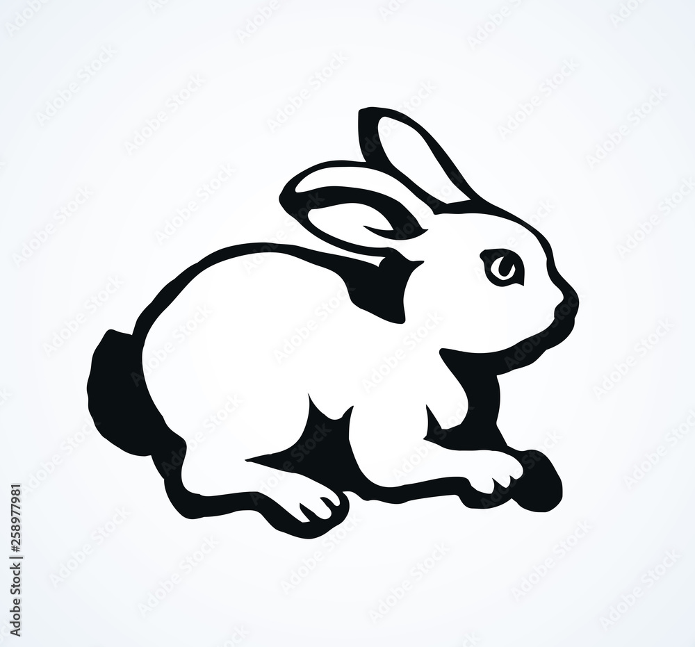 Obraz premium Hare. Vector drawing