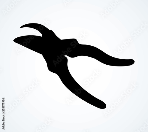 Vector drawing. Pruner