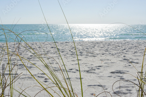 Valokuvatapetti Tropical white sand beach on the gulf coast of Florida near St