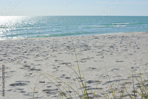 Tropical white sand beach on the gulf coast of Florida near St. Petersburg