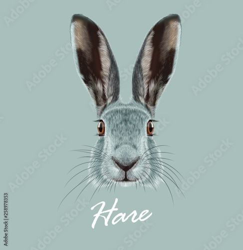 Hare or Rabbit wild animal cute face. Vector European hare, Lepus Europaeus funny bunny head portrait. Easter symbol. Realistic fur portrait of forest winter bunny animal isolated on blue background.