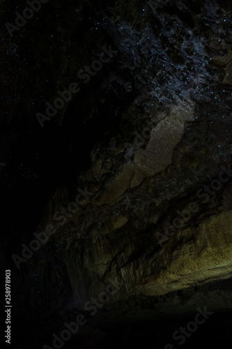 Amazing New Zealand Tourist attraction glowworm luminous worms in caves. High ISO Photo.