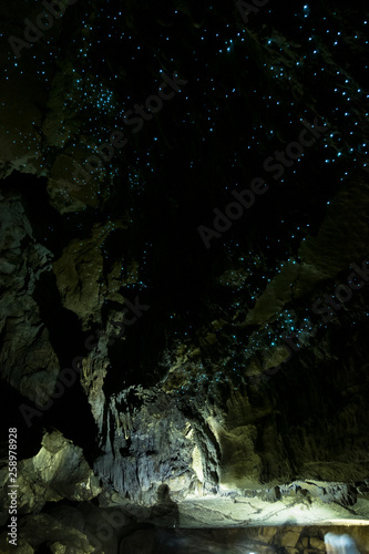 Amazing New Zealand Tourist attraction glowworm luminous worms in caves. High ISO Photo.