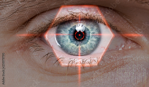 biometric retina scan or vision test photo