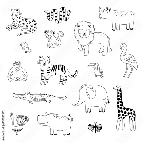 Big outline handdrawn collection of tropical animals. Simple cute illustration for design t shirts, posters, cards. Vector illustration