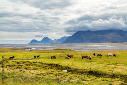 A landscape of Iceland, Europe