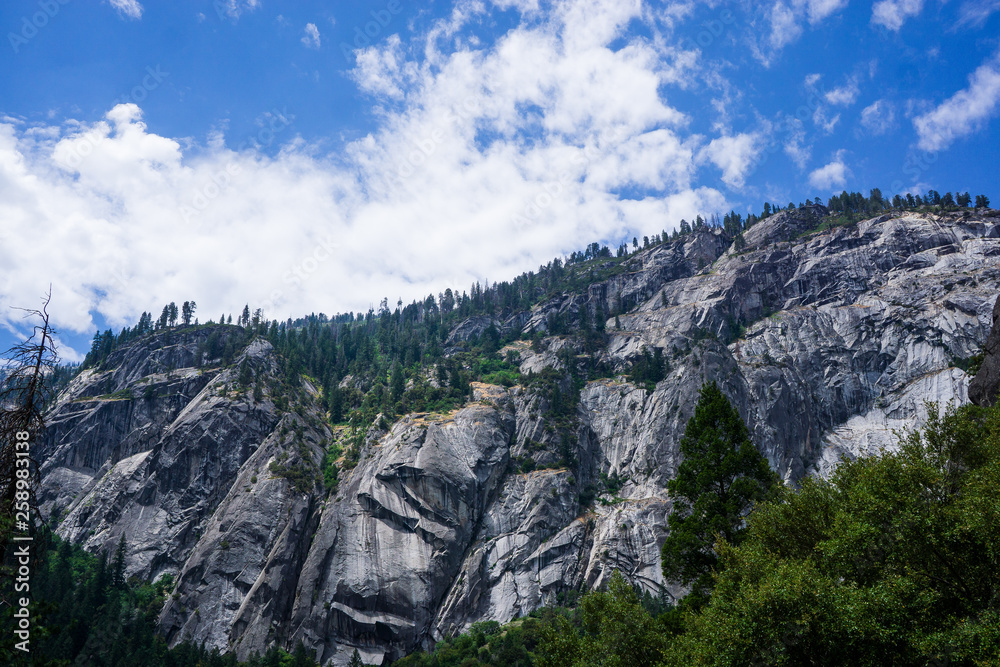 Yosemite Rock Face