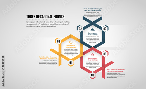 Three Hexagonal Front Infographic