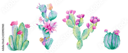 watercolor cactus. Raster illustration. illustration for greeting cards, invitations, and other printing projects. on white background.High resolution.Clipping path included.