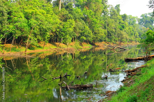 Abandoned old lake in green rainforest of Cambodia. Trees and snags are reflected in the dirty rippled surface of the water.